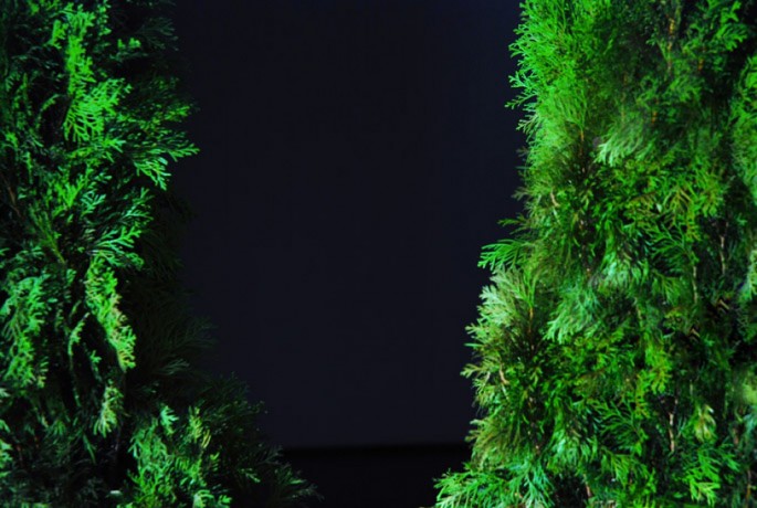 Exposition Study for a garden – Abbas Akhavan