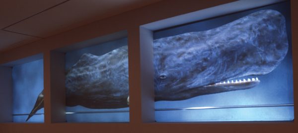 Exposition Unnatural – Bass Museum of Art – Miami