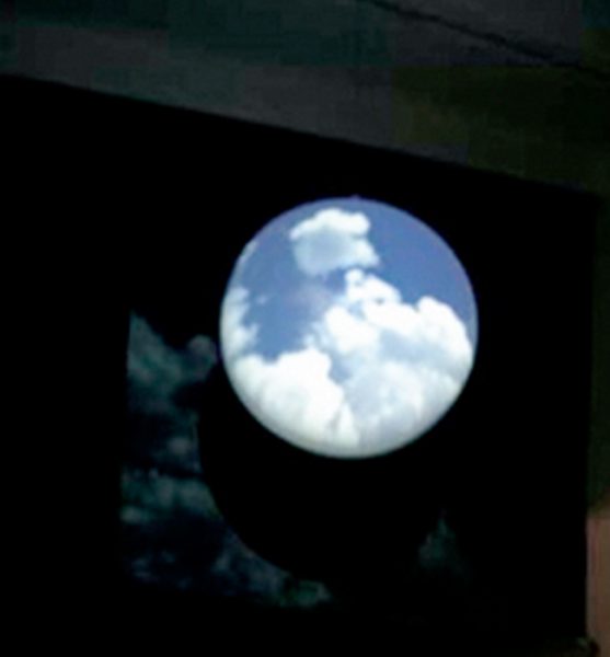 Current Positions in Contemporary Art in the Face of Global Warming