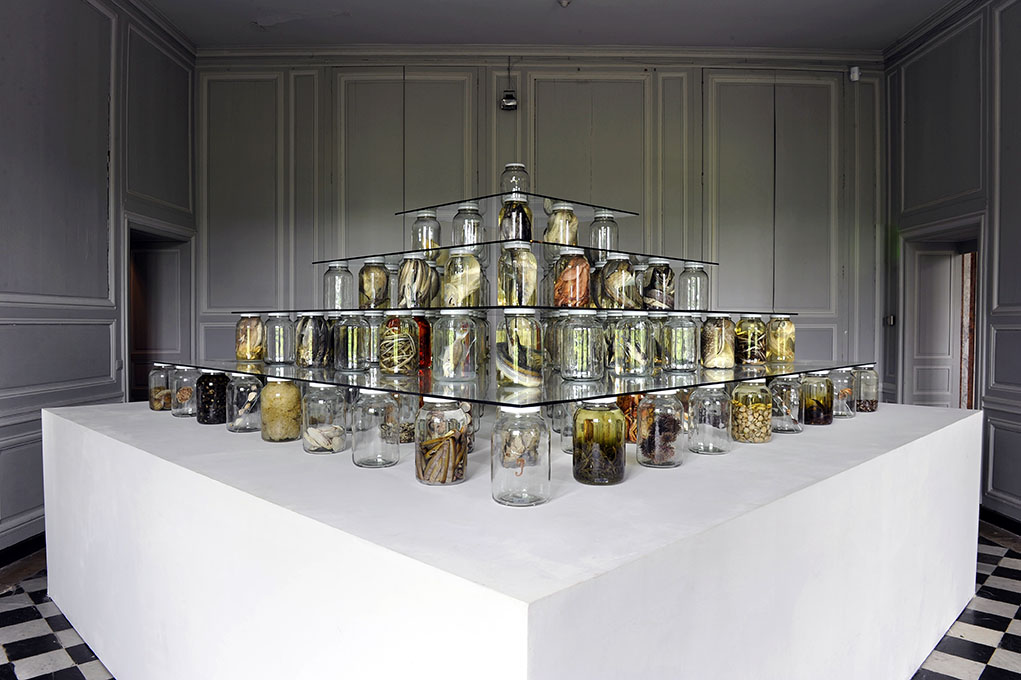 Brandon Ballengée © Laurence Godart