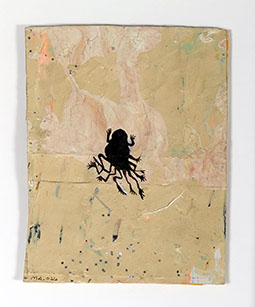 Brandon Ballengée © Laurence Godart 