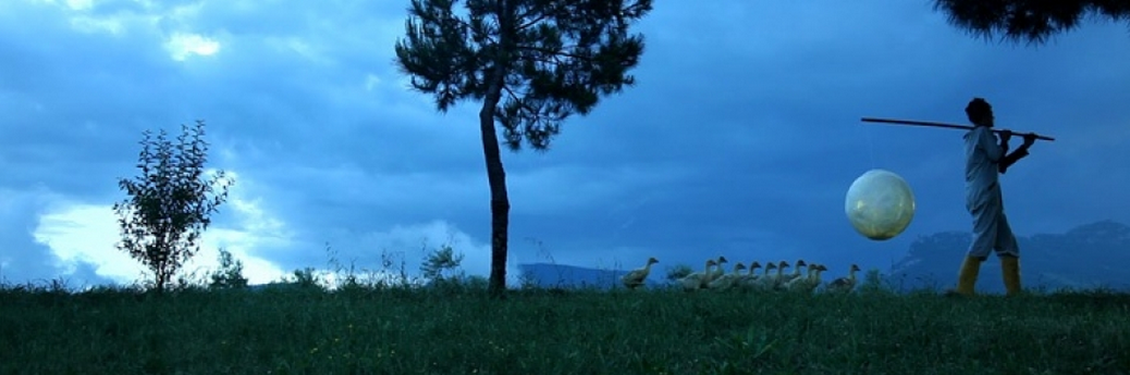 Agnes Meyer-Brandis, Moon Goose Analogue, still