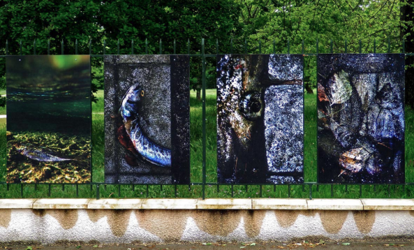 Exposition photographique « Les engloutis » de Bernard Brisé