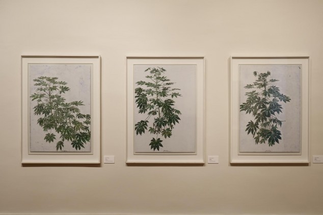 'Arborescences' exposition de Sam Szafran au Domaine de Chaumont-sur-Loire 2017 (c) Eric Sander