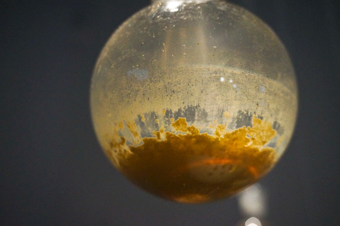 Installation Petrichor (c) Anaïs Tondeur