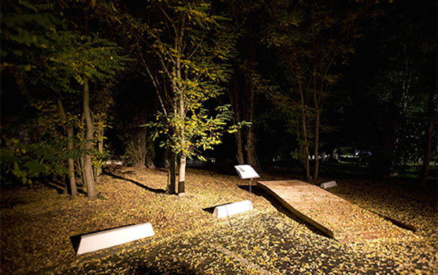 Installation « Concerto pour Flux de sève »