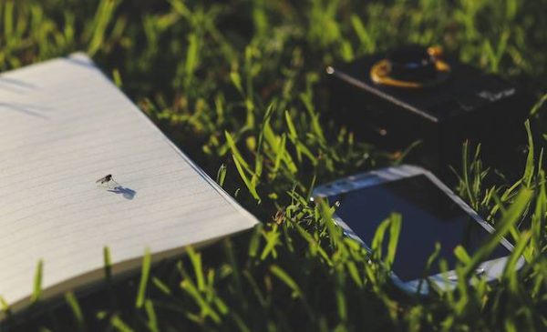 Colloque international « Les écologies du numérique »