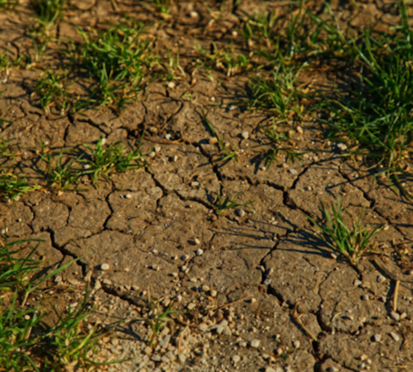 Appel à projets – « La grande trame brune : Protéger les fonctions écologiques des sols » de L’Université de Tours