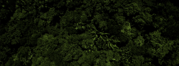 Appel à Projets : Speculative Ecologies 2025 – LABVERDE