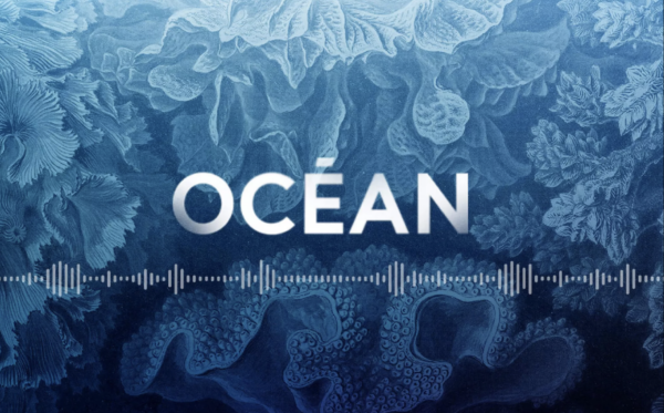 LES ÉPISODES LITTÉRAIRES de la série spéciale Océan du podcast « Pour que nature vive »