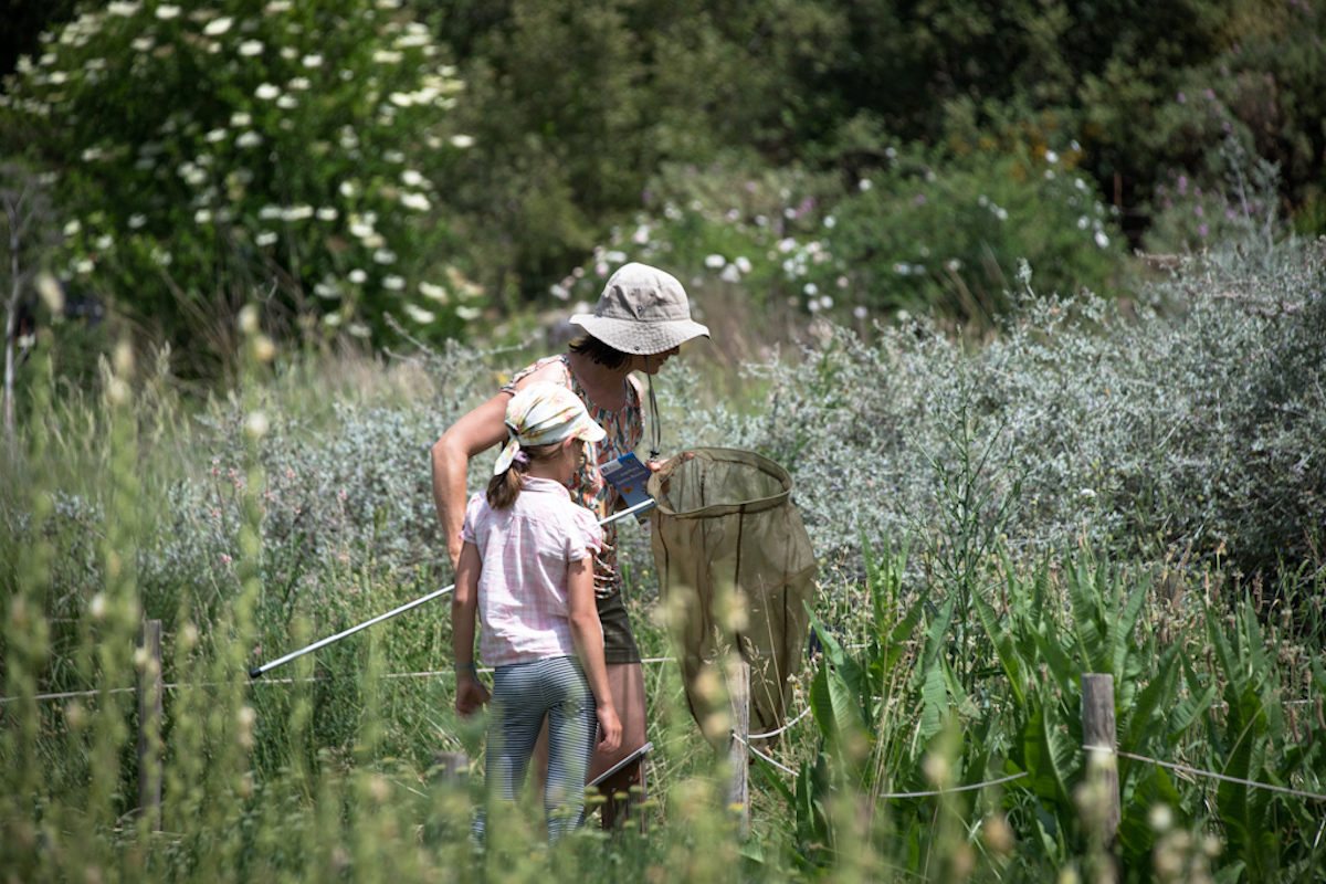 Campagne  #TousBiodiversité 2025 – OFB