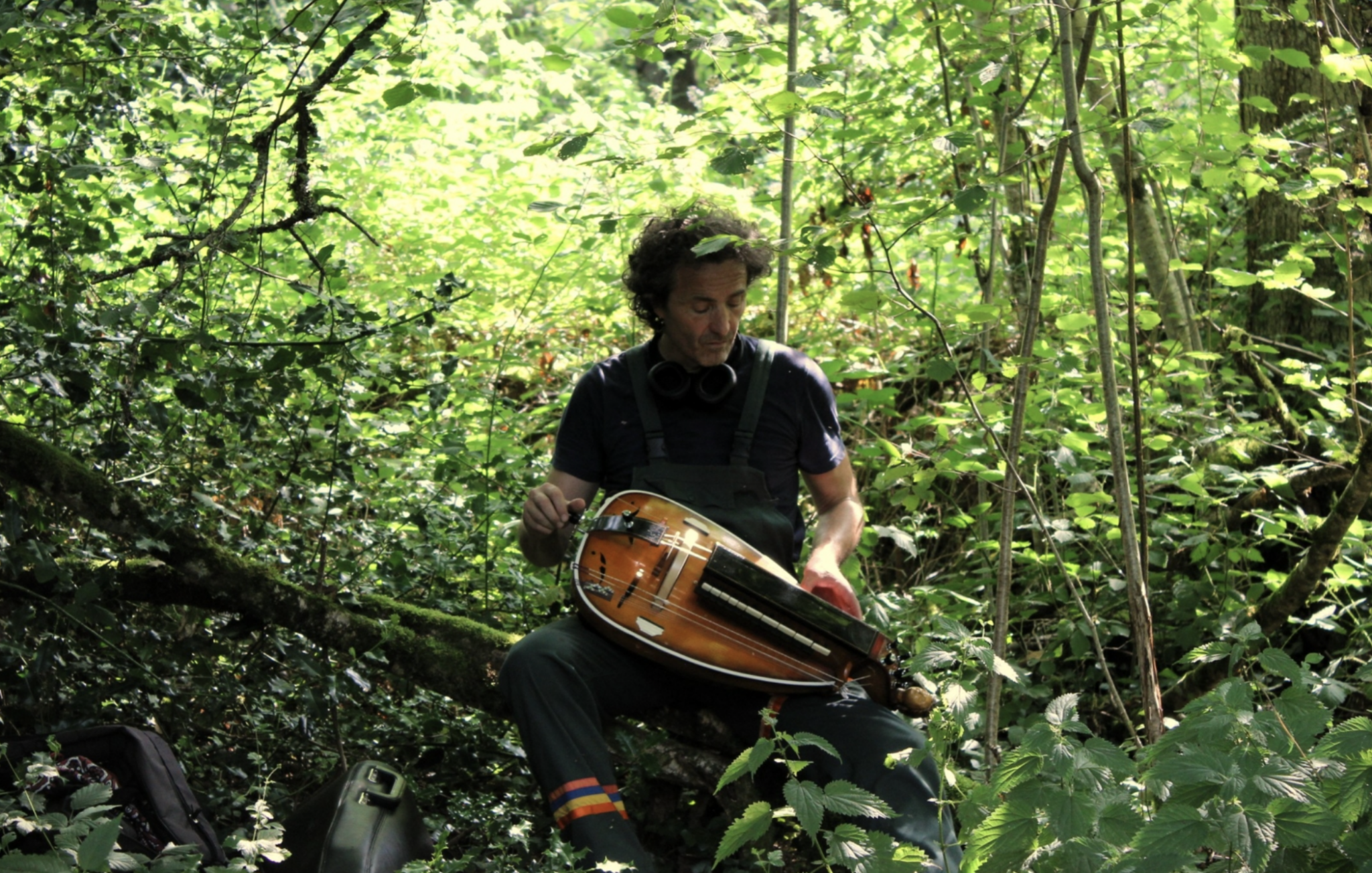 APPEL À PROJETS – LES NUITS DES FORÊTS