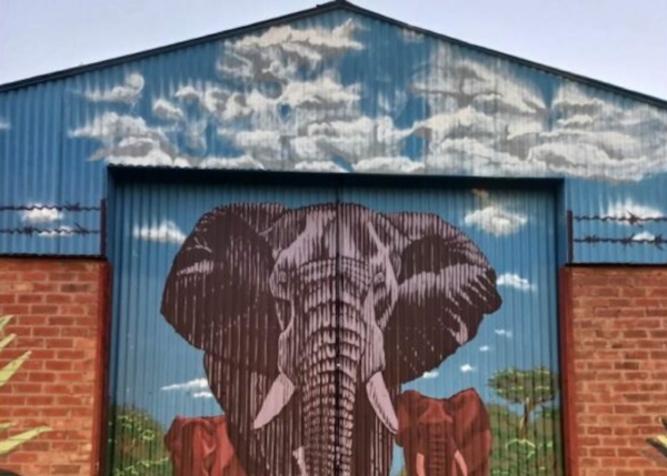 Appel à projets – Culture & Animals Foundation