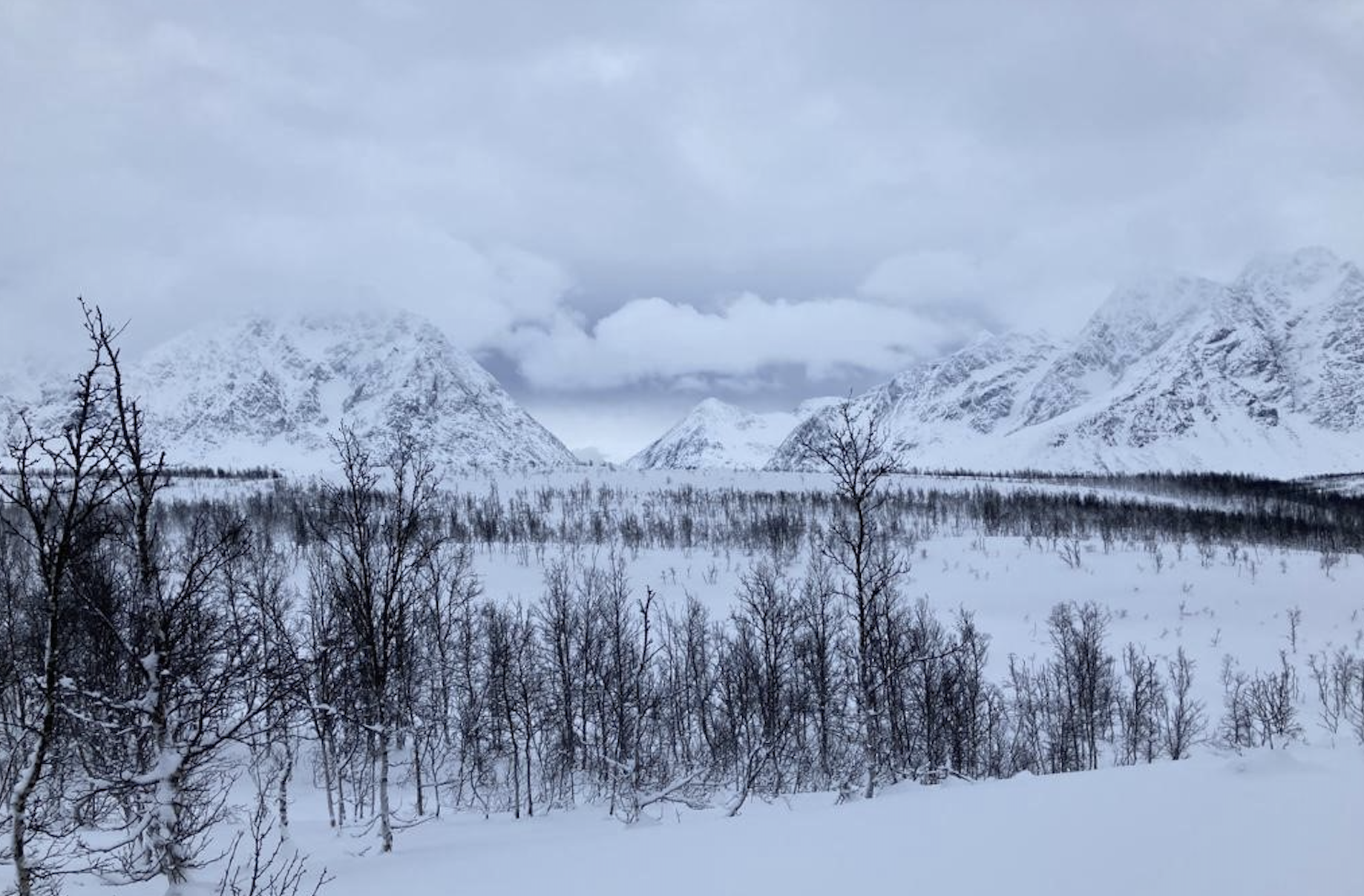 Appel à résidences – Septentrionales