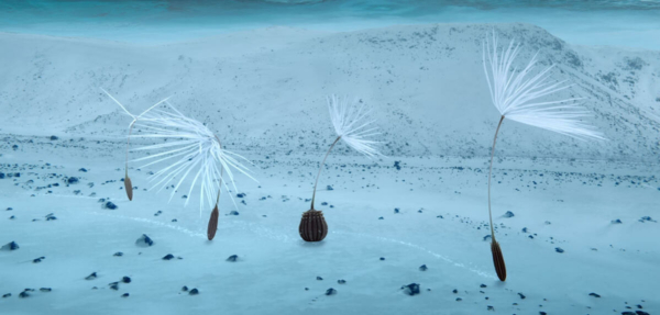 Planètes – Momoko Seto