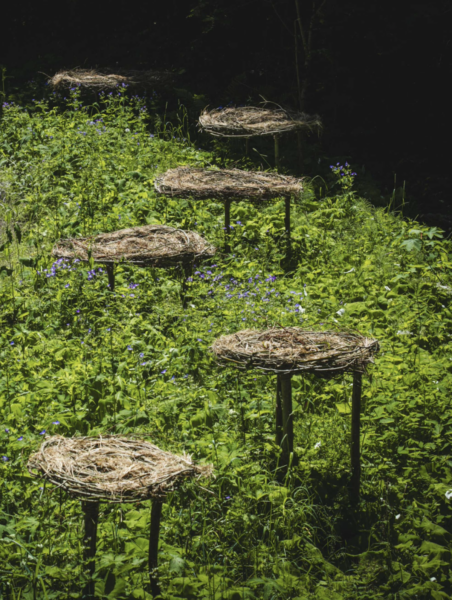 APPEL À CANDIDATURES – LAND ART FESTIVAL GRINDELWALD