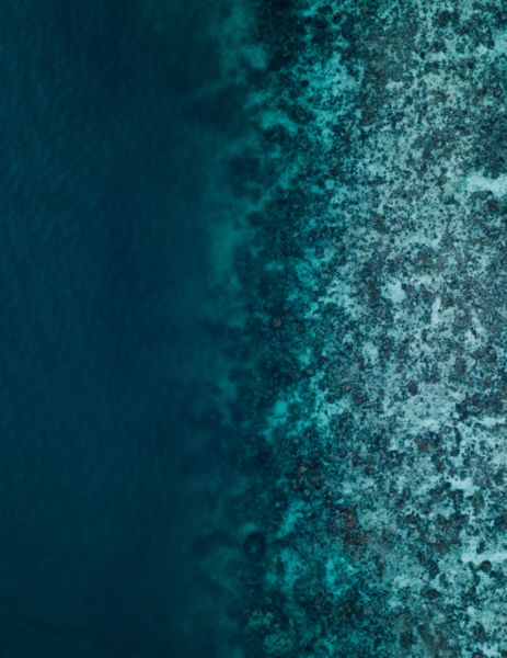 FESTIVAL AGIR POUR L’OCEAN